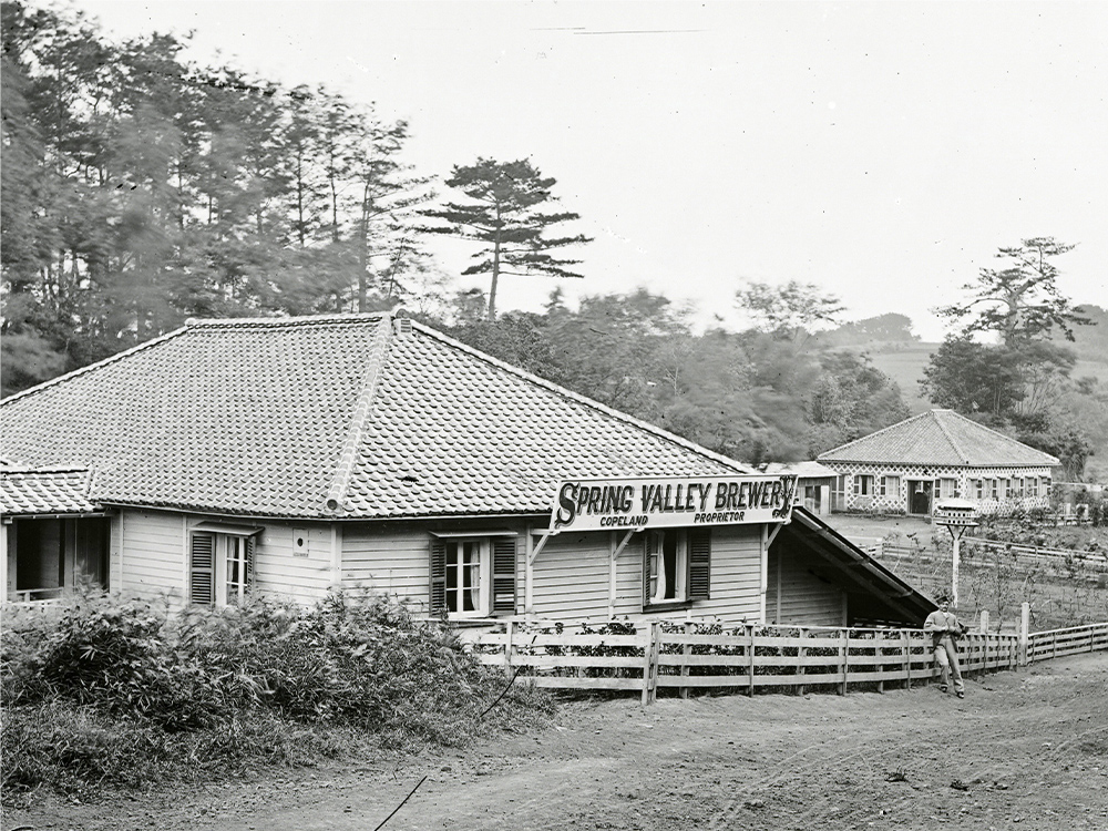 HISTORY ABOUT US スプリングバレー