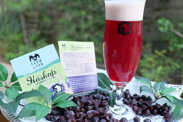 北海道厚真町産 ハスカップ Our Craft Beer スプリングバレー