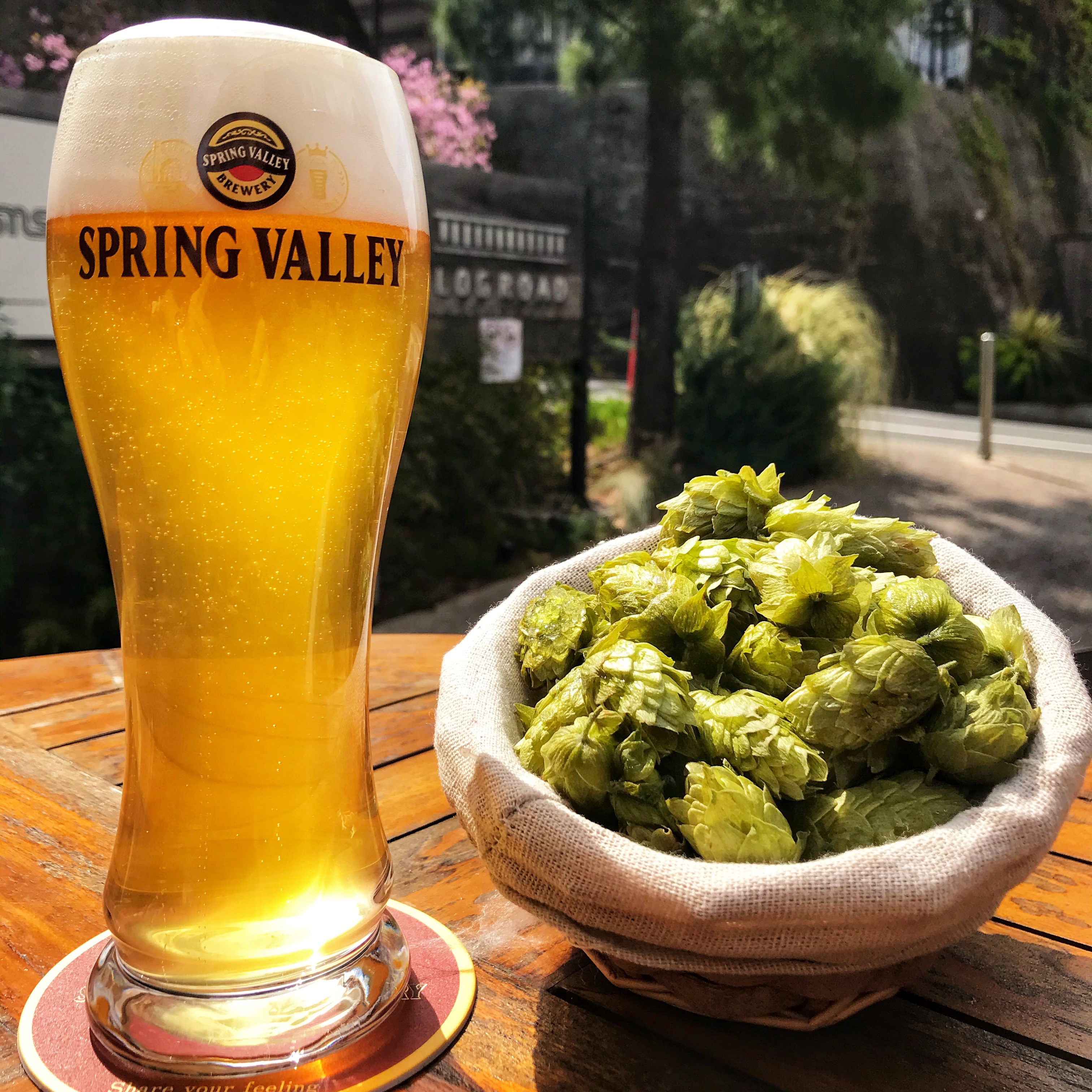 OUR CRAFT BEER｜スプリングバレー